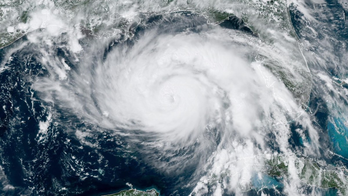 The Impact of Hurricane Ida on COVID-19