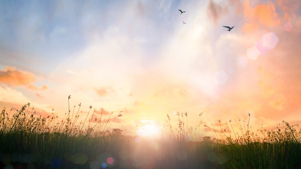 Sunrise