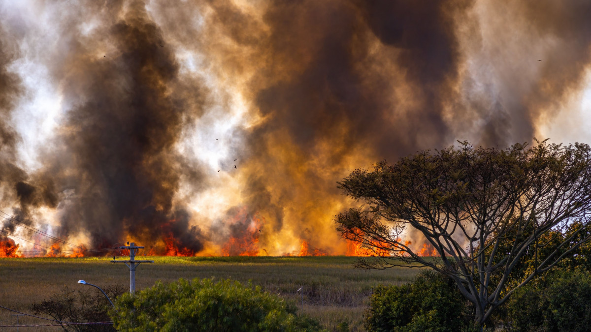 wildfire on open landscape