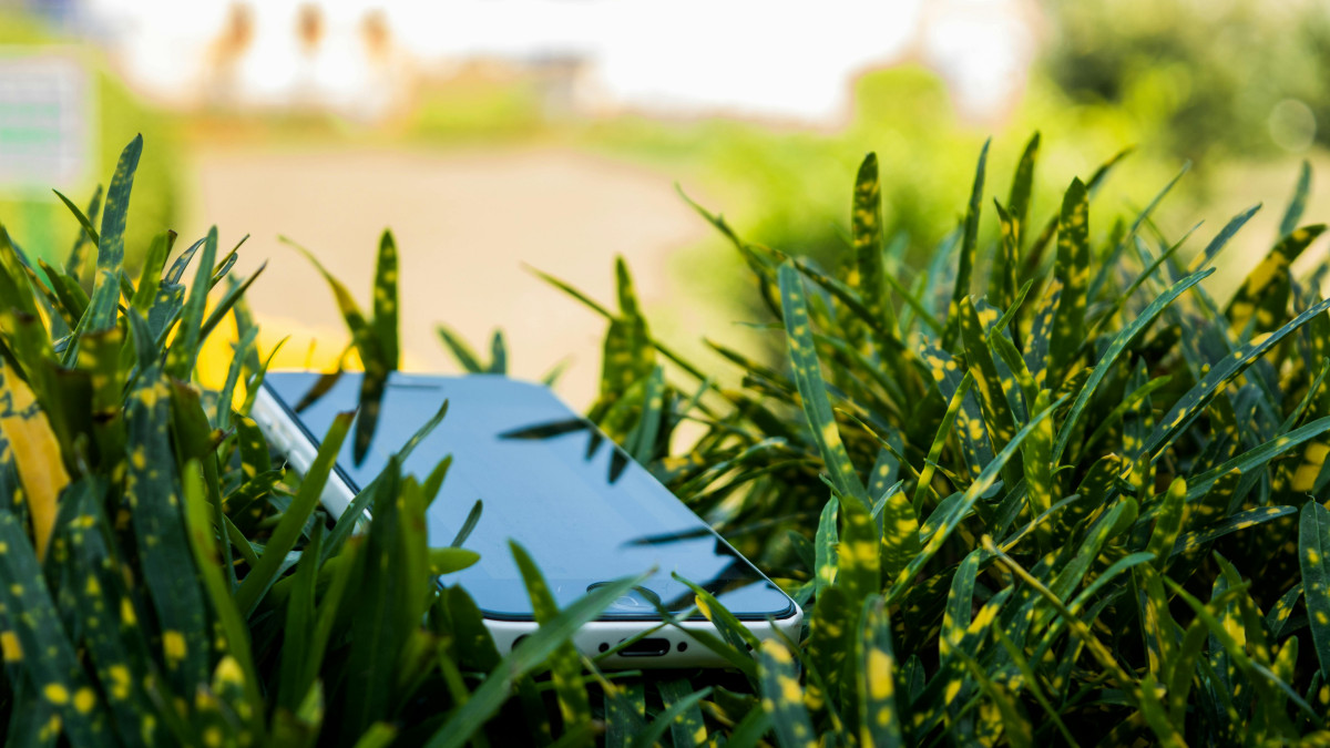 smartphone in nature