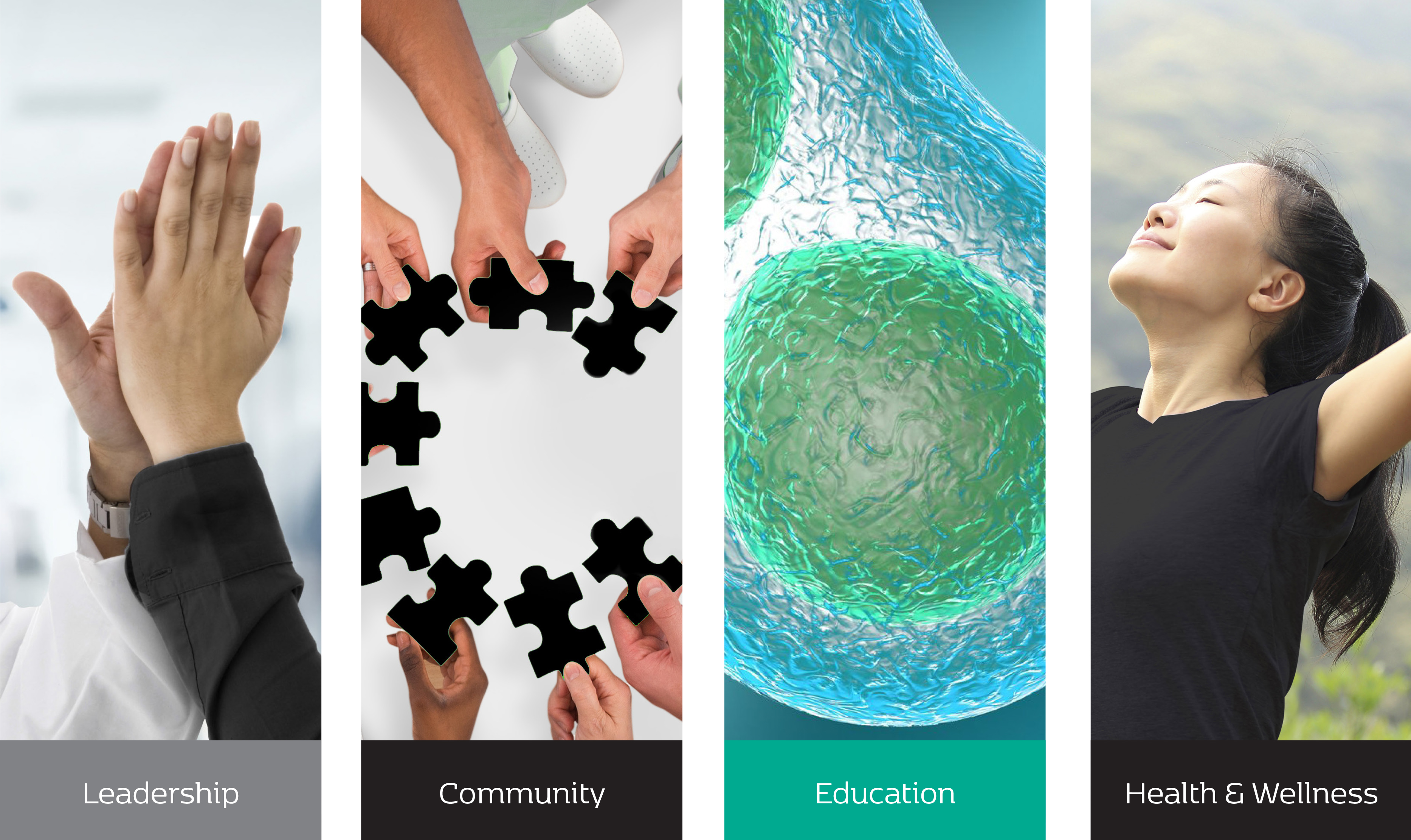 ACOI Pillars: Leadership, Community, Education, Health & Wellness